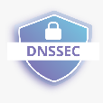 The Domain Name System Security Extensions (DNSSEC)